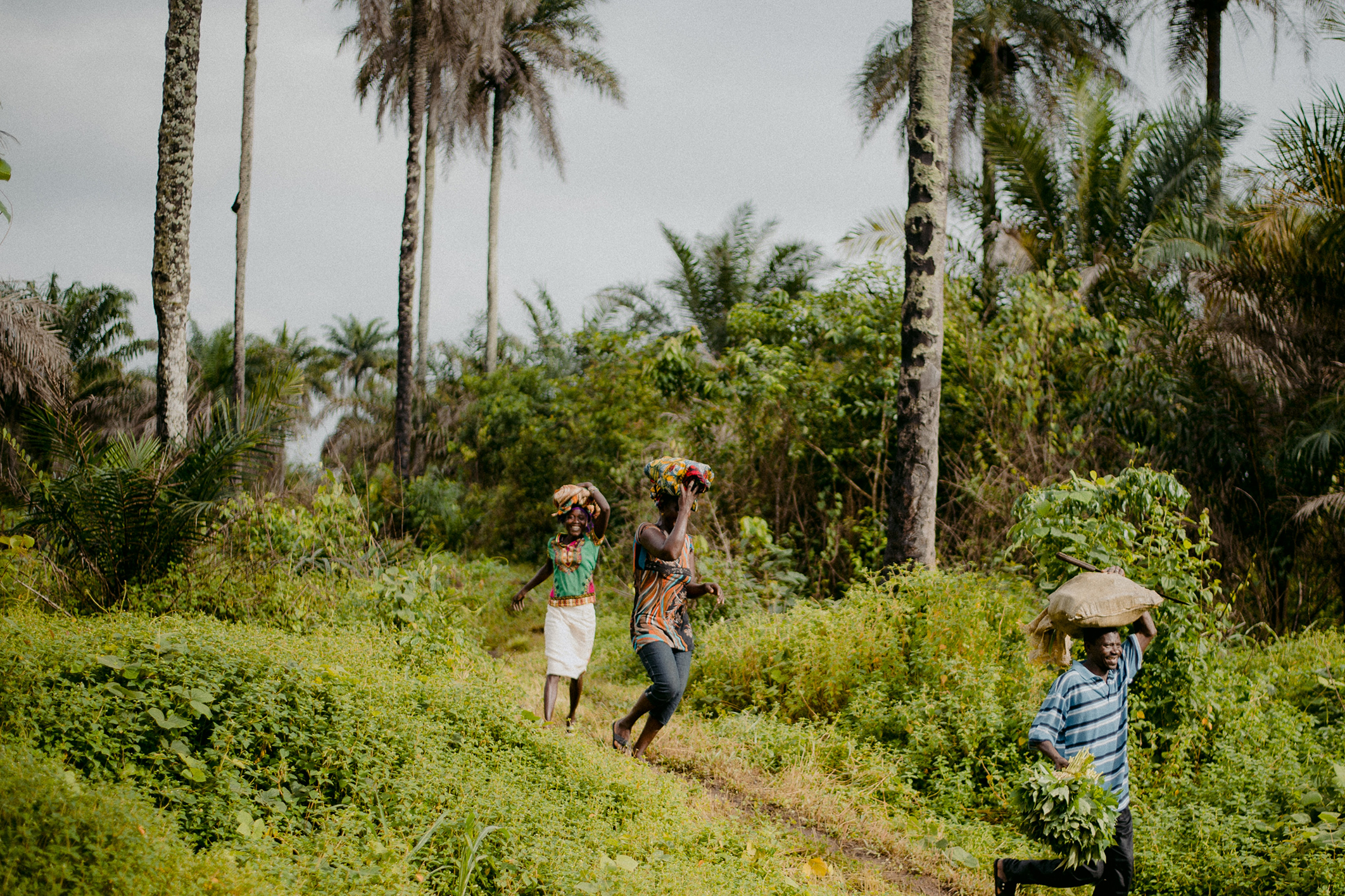 People walking through forest carrying cassava