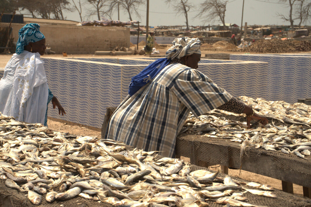 Women processing sardinella in Guet N'Dar, Saint-Louis, Senegal