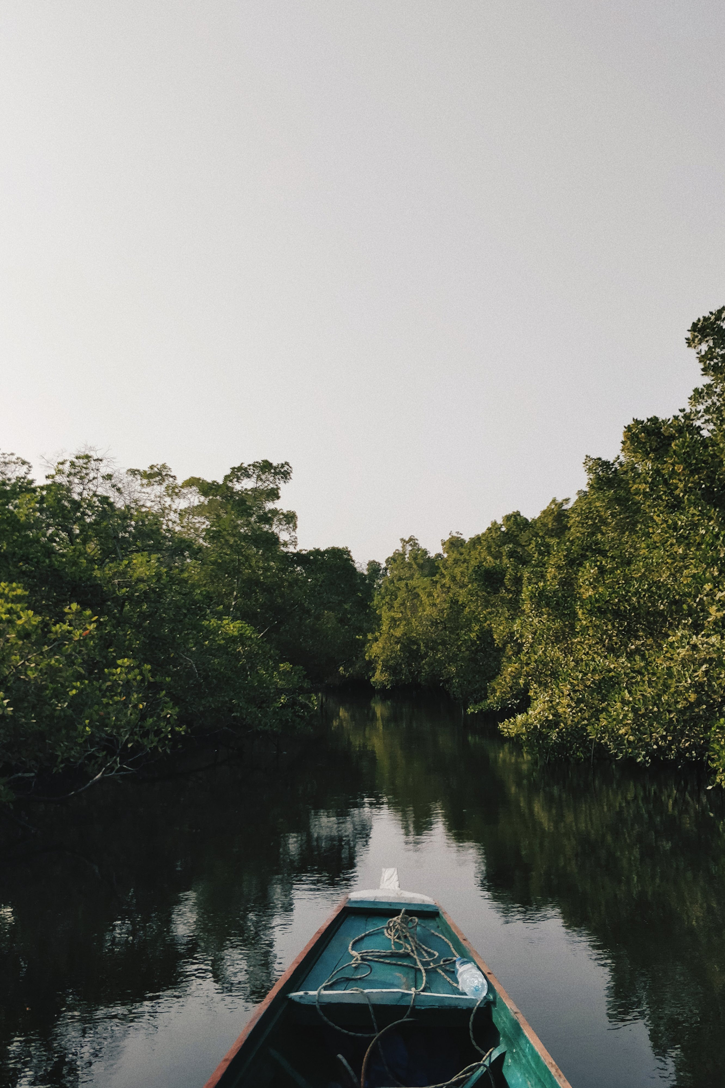 Boat on river in forest