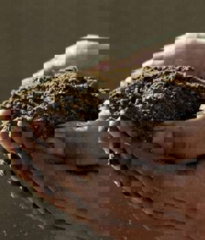 Hands holding soil
