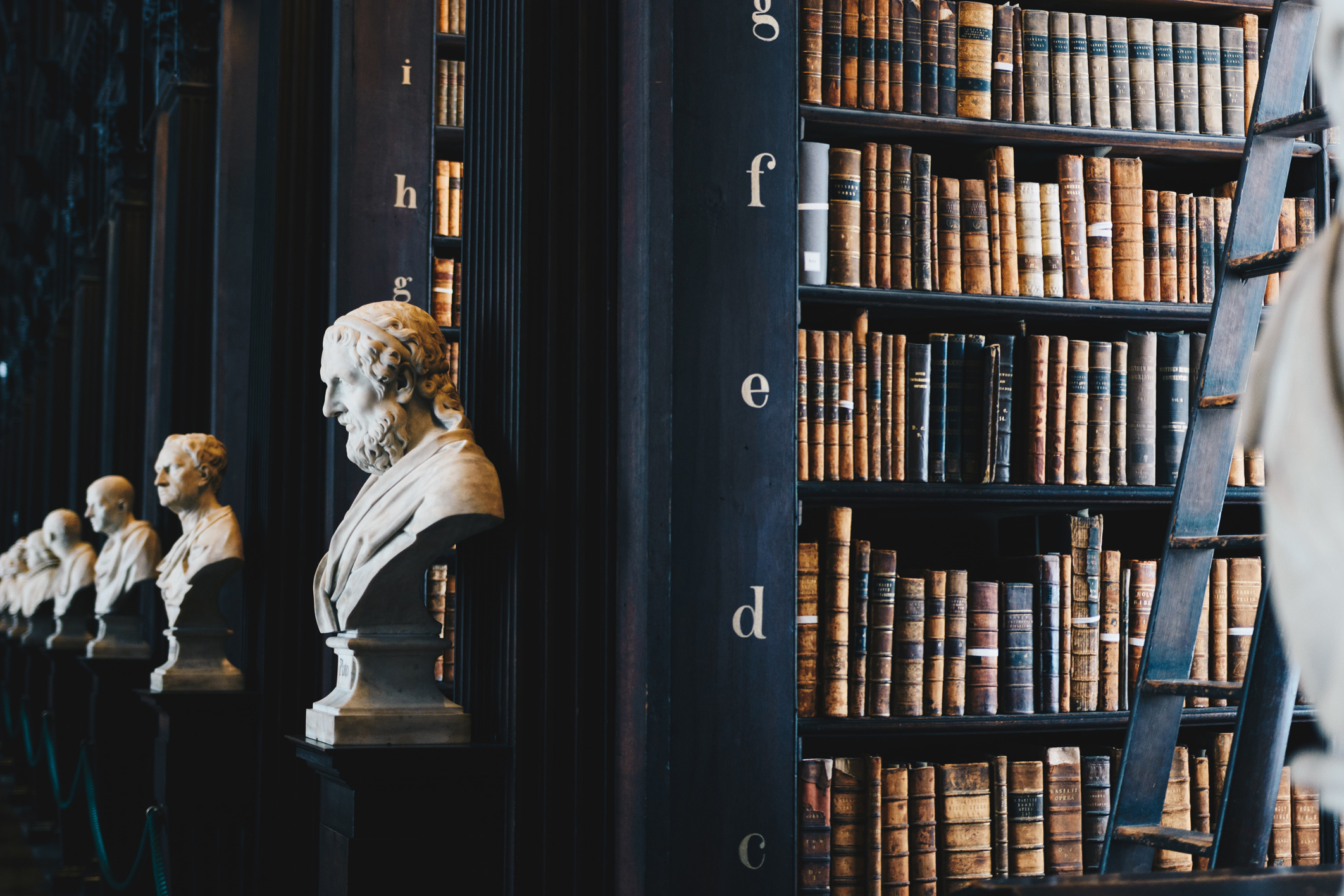Rows of books inside a legal library